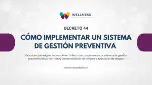 Decreto 44